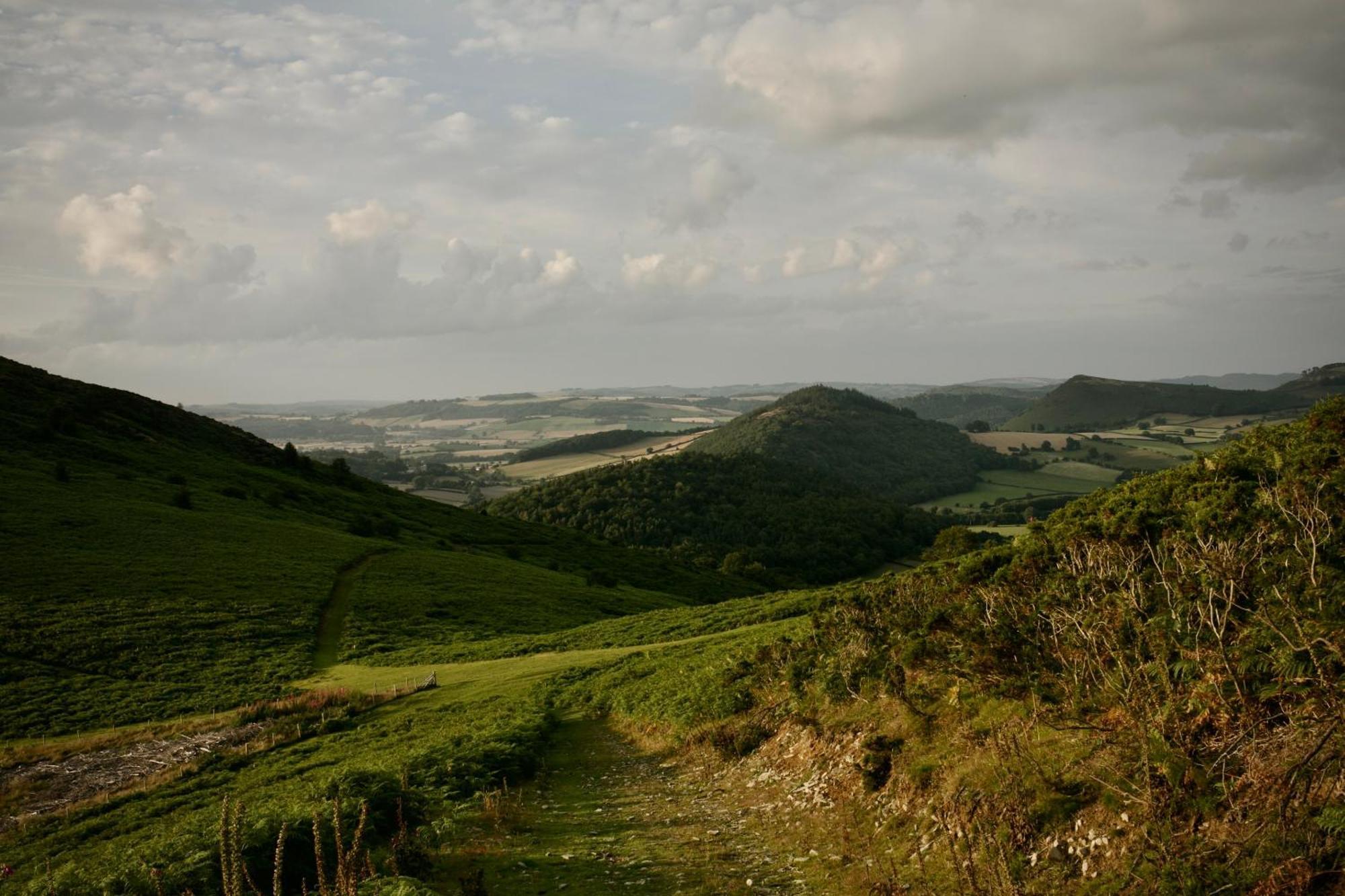Two Unique Cabins Wrapped In Beautiful Welsh Scenery Presteigne Exterior photo